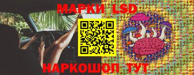 прущие крисы Апшеронск