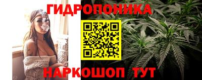 прущие крисы Апшеронск