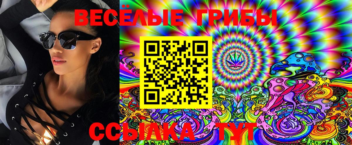 Псилоцибиновые грибы GOLDEN TEACHER Мелеуз