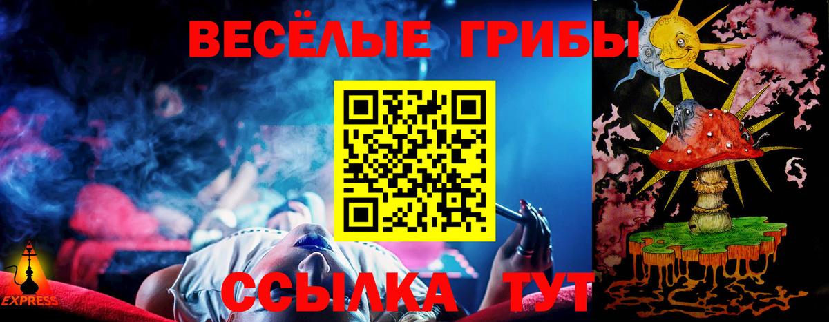 Галлюциногенные грибы Psilocybe Мелеуз